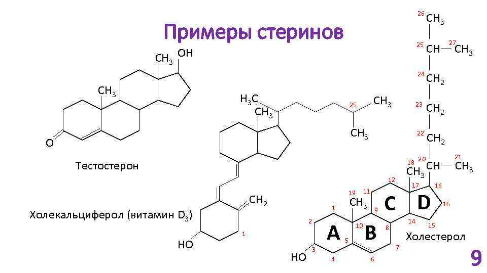 26 Примеры стеринов CH 3 27 25 CH 3 C CH 3 O Тестостерон