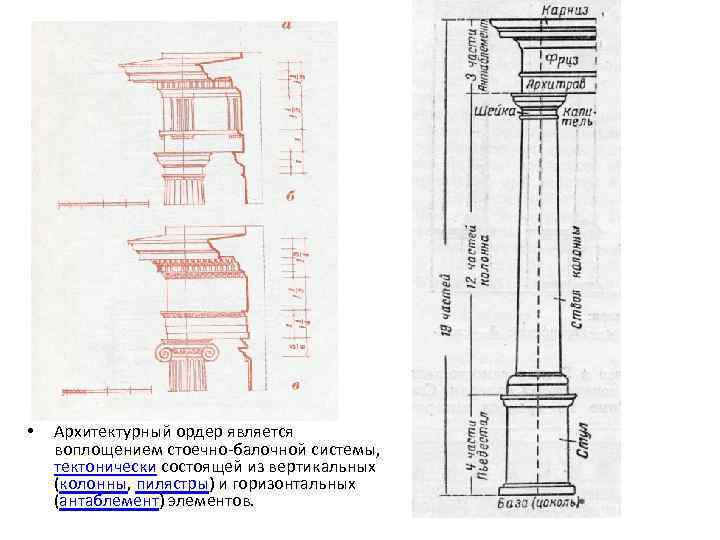  • Архитектурный ордер является воплощением стоечно-балочной системы, тектонически состоящей из вертикальных (колонны, пилястры)