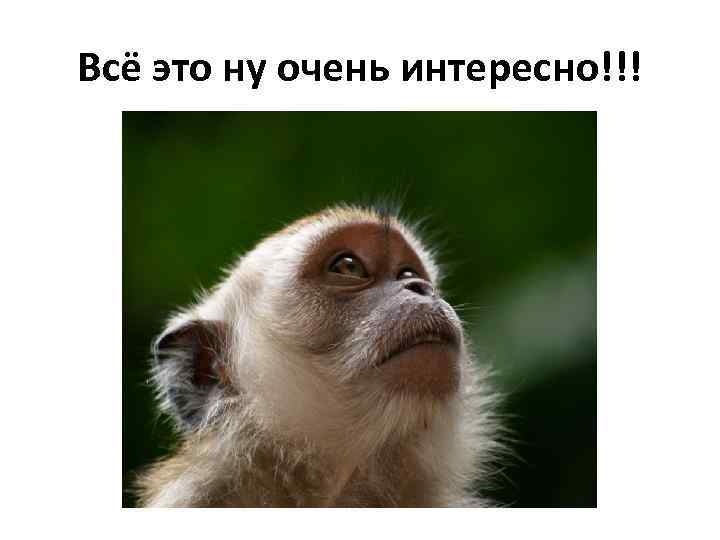 Всё это ну очень интересно!!! 