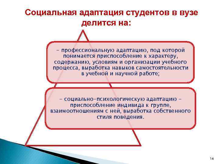 Социальная адаптация студентов в вузе делится на: - профессиональную адаптацию, под которой понимается приспособление