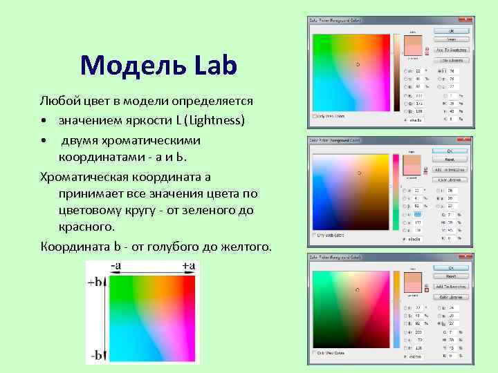 Координаты цветов