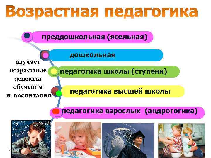 преддошкольная (ясельная) изучает возрастные аспекты обучения и воспитания дошкольная педагогика школы (ступени) педагогика высшей