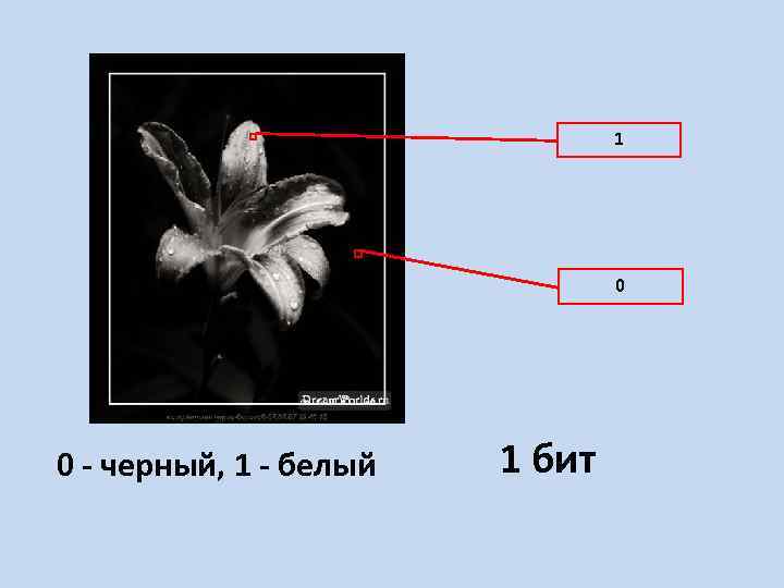 1 0 0 - черный, 1 - белый 1 бит 