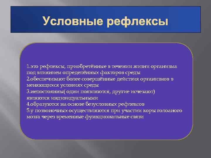 Условные рефлексы 1. это рефлексы, приобретённые в течении жизни организма под влиянием определённых факторов