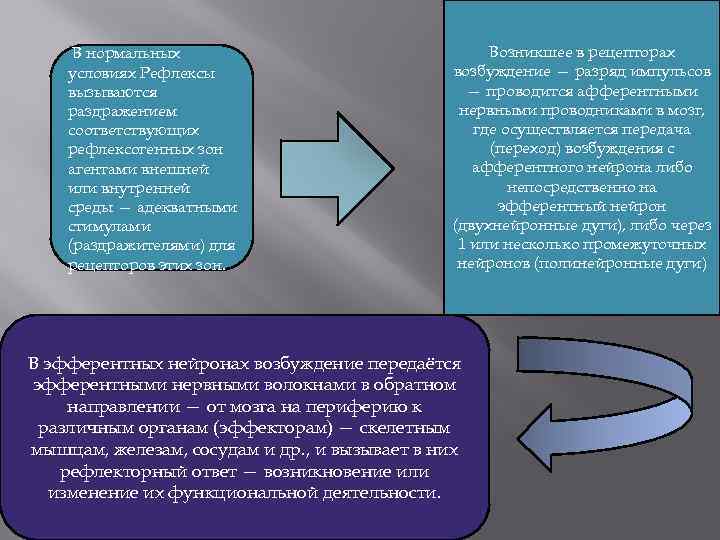 В нормальных условиях Рефлексы вызываются раздражением соответствующих рефлексогенных зон агентами внешней или внутренней среды