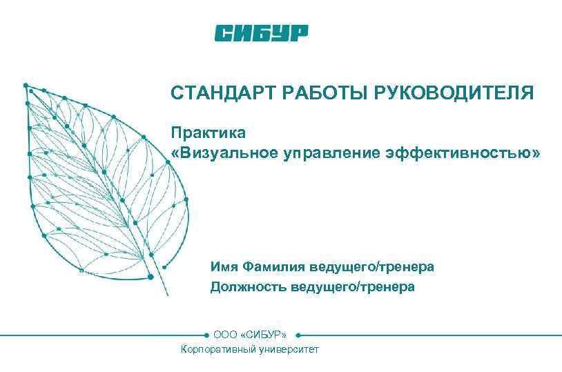 СТАНДАРТ РАБОТЫ РУКОВОДИТЕЛЯ Практика «Визуальное управление эффективностью» Имя Фамилия 1 Имя Фамилия ведущего/тренера Должность