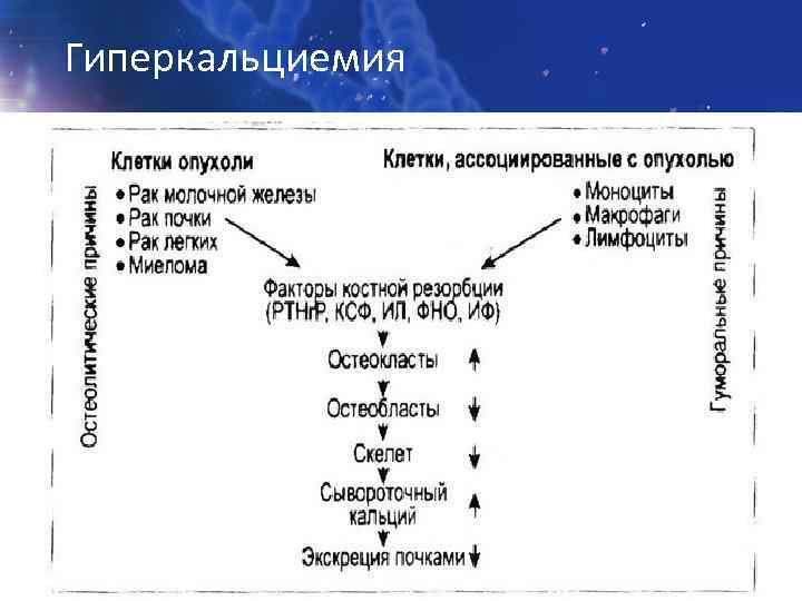 Гиперкальциемия 