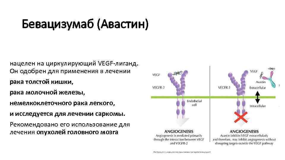 Бевацизумаб (Авастин) нацелен на циркулирующий VEGF-лиганд. Он одобрен для применения в лечении рака толстой