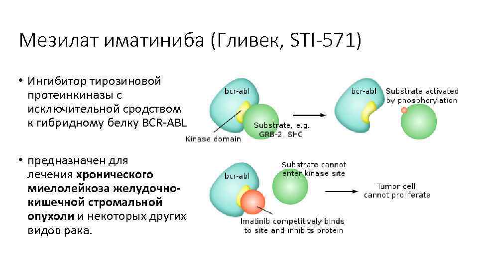 Мезилат иматиниба (Гливек, STI-571) • Ингибитор тирозиновой протеинкиназы с исключительной сродством к гибридному белку