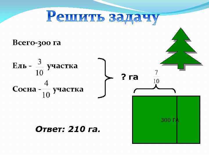 Всего-300 га Ель - участка ? га Сосна - участка 300 ГА Ответ: 210