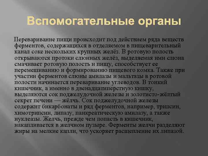 Вспомогательные органы Переваривание пищи происходит под действием ряда веществ ферментов, содержащихся в отделяемом в