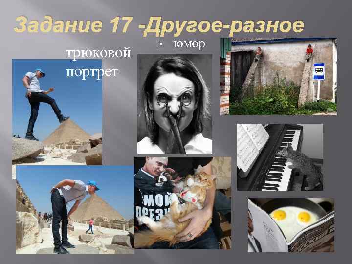 Задание 17 -Другое-разное трюковой портрет юмор 