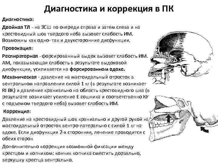 Диагностика и коррекция в ПК Диагностика: Двойная ТЛ - на ЗСШ по очереди справа