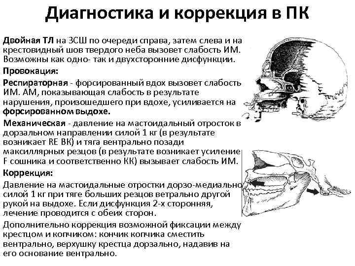 Краниальный это. Краниальная терапия. Крестовидный шов твердого неба. Краниальная дисфункция. Краниальная коррекция.