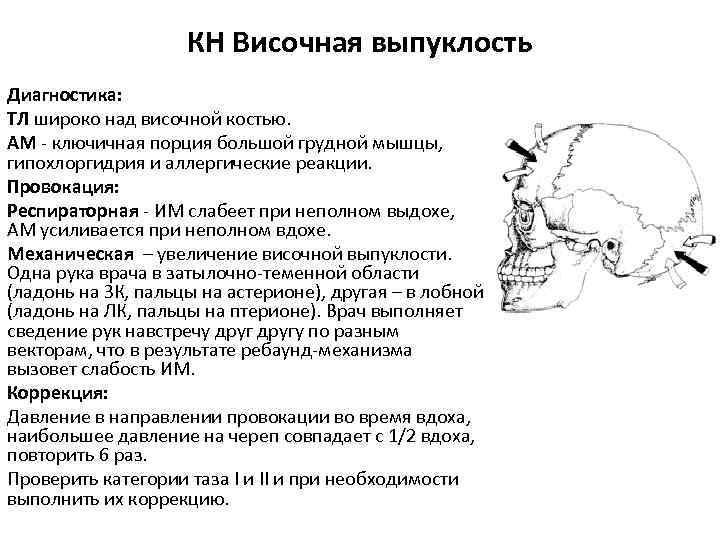 КН Височная выпуклость Диагностика: ТЛ широко над височной костью. АМ - ключичная порция большой