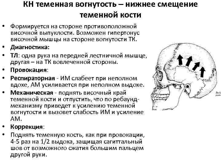 КН теменная вогнутость – нижнее смещение теменной кости • Формируется на стороне противоположной височной