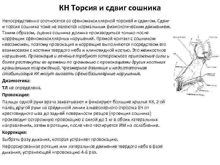 КН Торсия и сдвиг сошника Непосредственно соотносятся со сфеномаксиллярной торсией и сдвигом. Сдвиг и