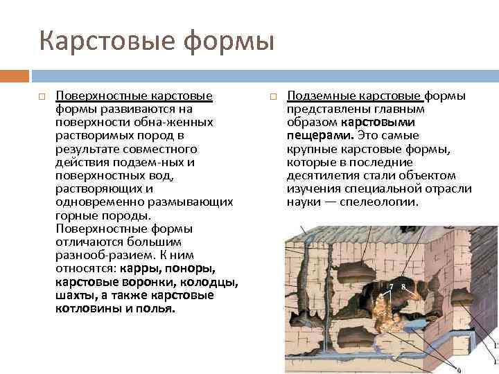 Карстовые формы Поверхностные карстовые формы развиваются на поверхности обна женных растворимых пород в результате