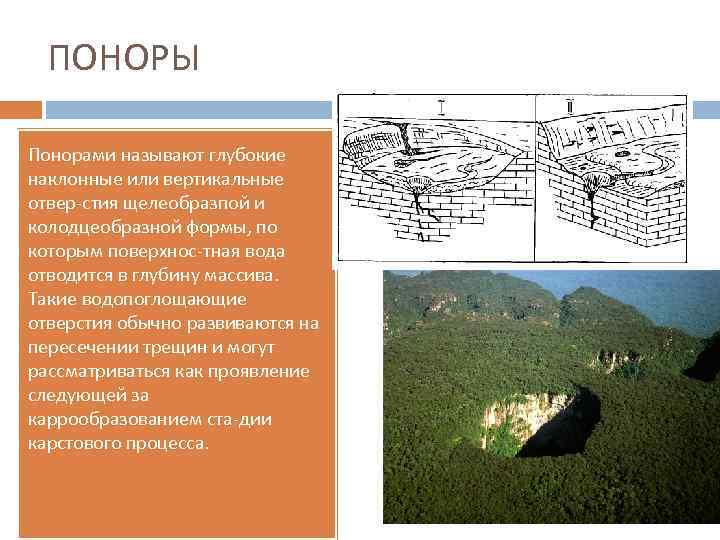 ПОНОРЫ Понорами называют глубокие наклонные или вертикальные отвер стия щелеобразпой и колодцеобразной формы, по