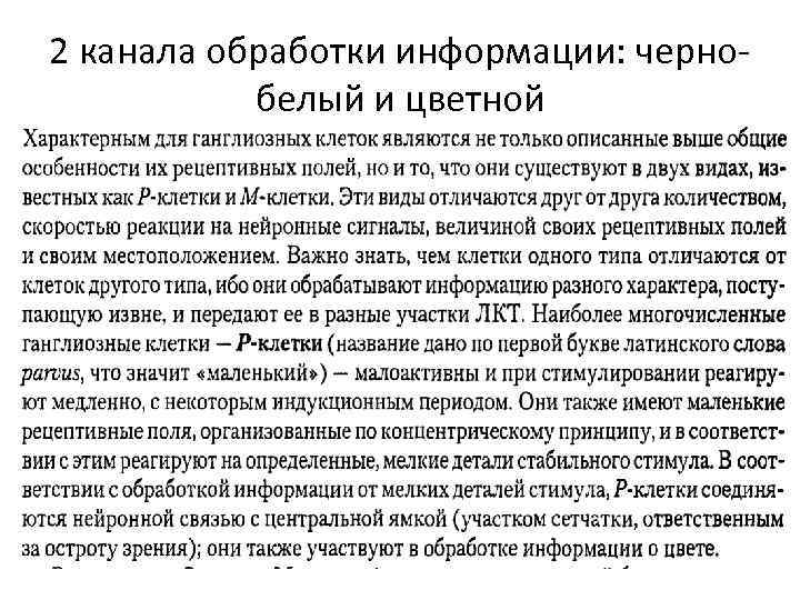 2 канала обработки информации: чернобелый и цветной 