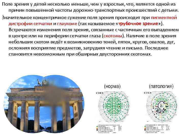 Поле зрения у детей несколько меньше, чем у взрослых, что, является одной из причин