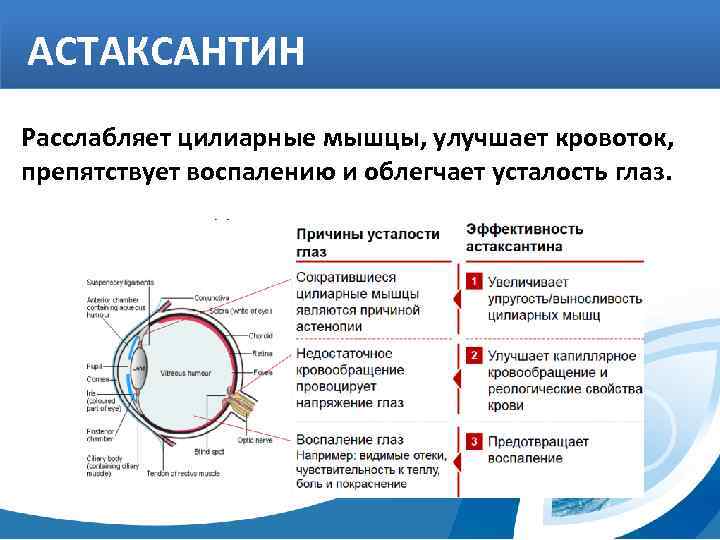 АСТАКСАНТИН Расслабляет цилиарные мышцы, улучшает кровоток, препятствует воспалению и облегчает усталость глаз. 