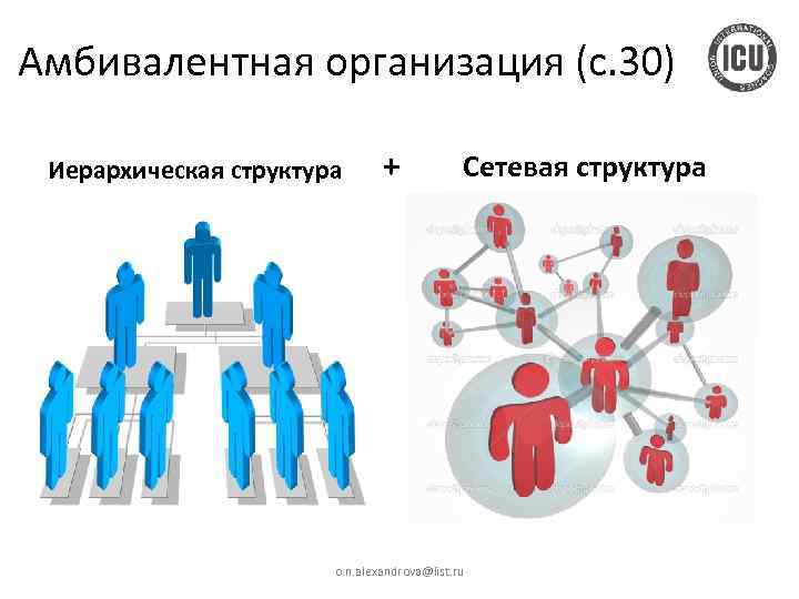 Амбивалентная организация (с. 30) Иерархическая структура + Сетевая структура o. n. alexandrova@list. ru 