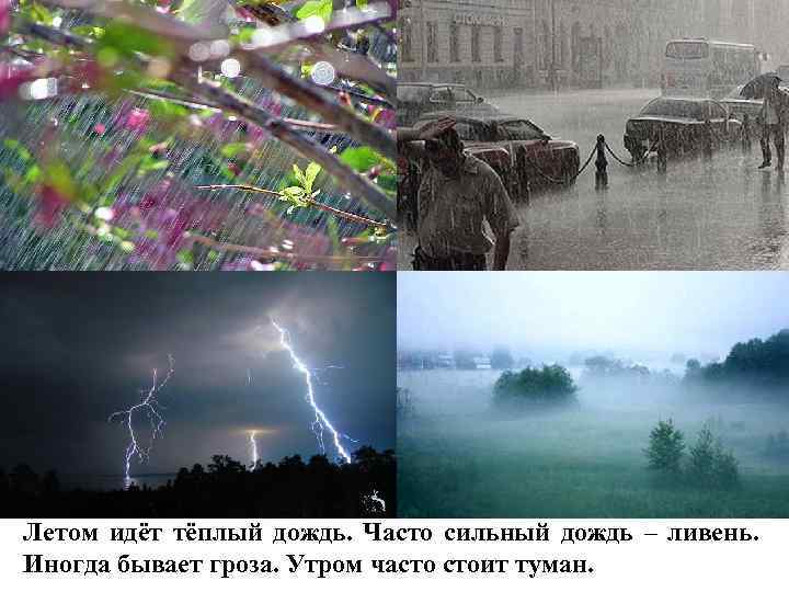 Летом идёт тёплый дождь. Часто сильный дождь – ливень. Иногда бывает гроза. Утром часто