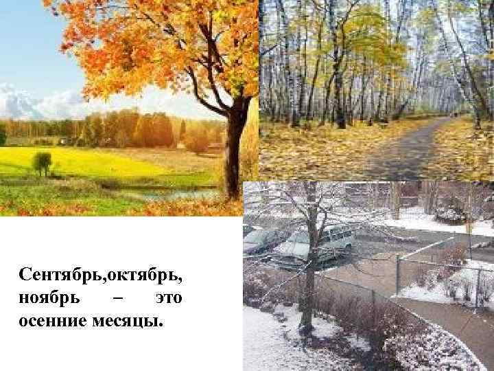 Сентябрь, октябрь, ноябрь – это осенние месяцы. 