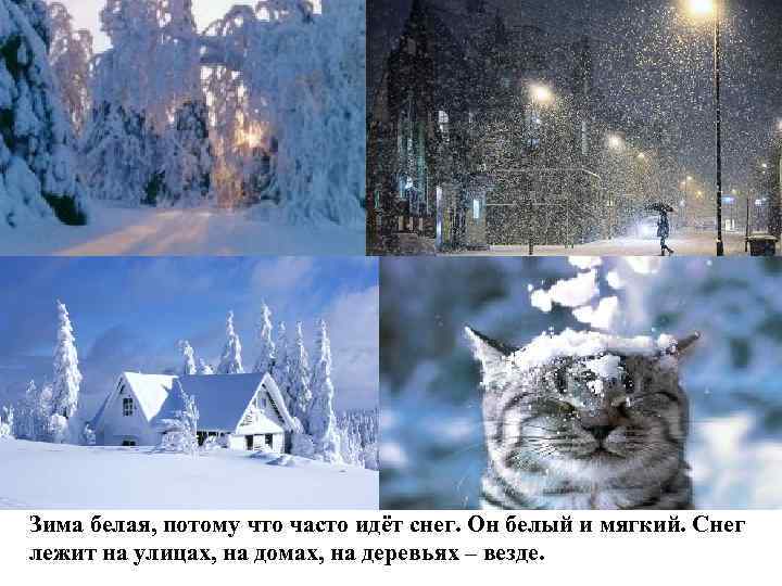 Зима белая, потому что часто идёт снег. Он белый и мягкий. Снег лежит на