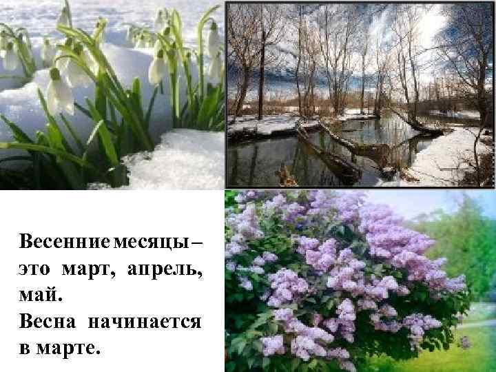 Весенние месяцы – это март, апрель, май. Весна начинается в марте. 