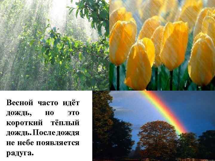 Весной часто идёт дождь, но это короткий тёплый дождь. После дождя не небе появляется