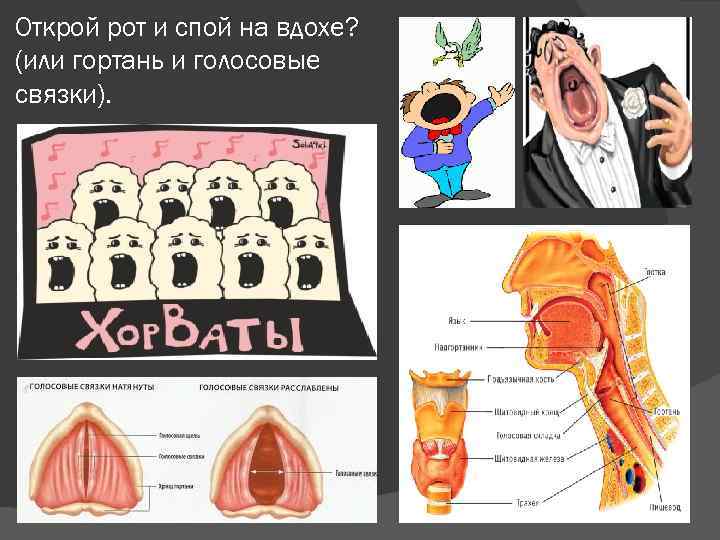 Открой рот и спой на вдохе? (или гортань и голосовые связки). 