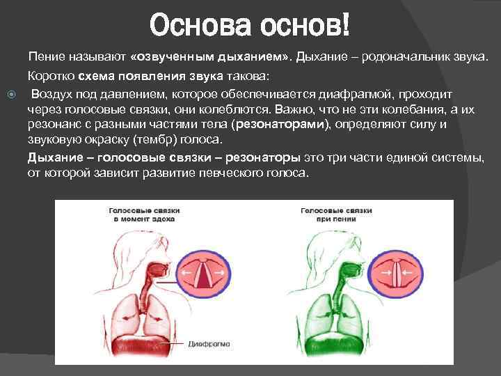 Основа основ! Пение называют «озвученным дыханием» . Дыхание – родоначальник звука. Коротко схема появления