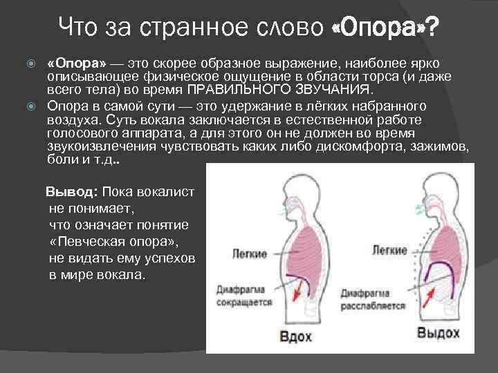 Что за странное слово «Опора» ? «Опора» — это скорее образное выражение, наиболее ярко
