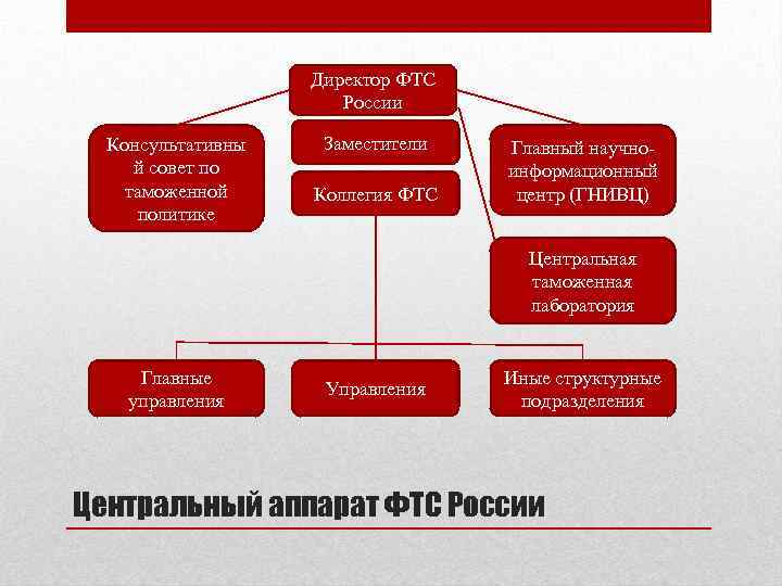 Таможенные органы картинки