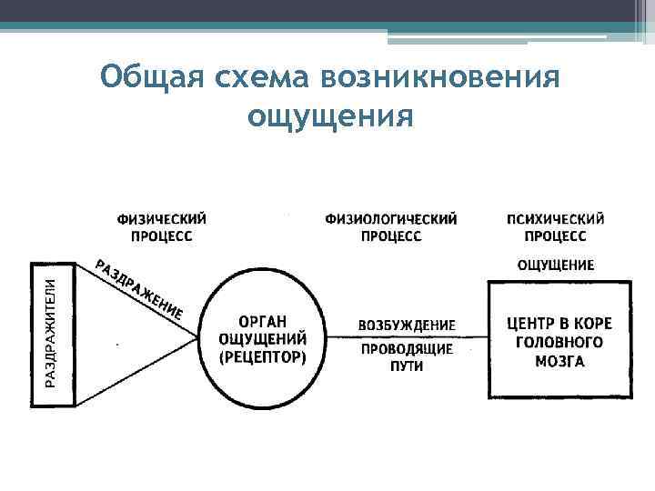 Возникновение ощущений схема