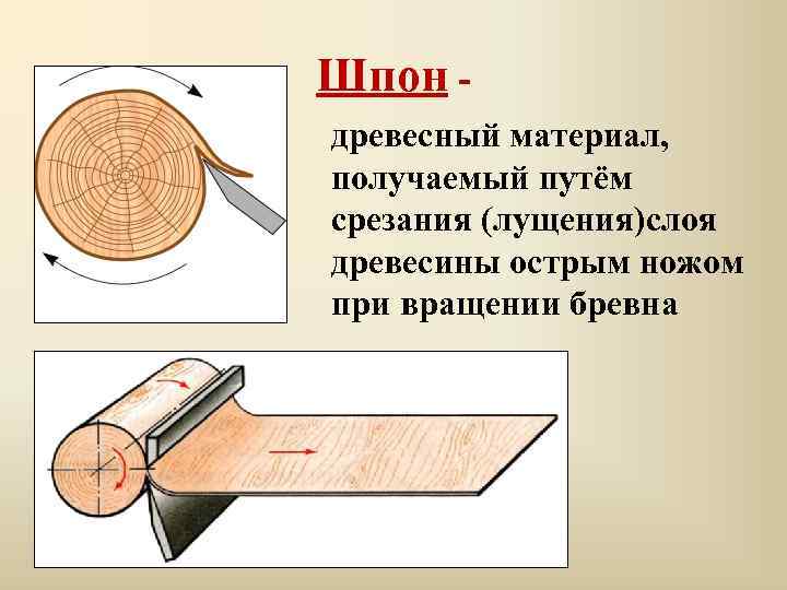 Шпон древесный материал, получаемый путём срезания (лущения)слоя древесины острым ножом при вращении бревна 