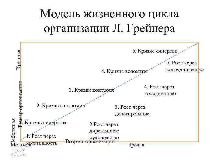 Модель жизненного цикла организации Л. Грейнера Небольшая Размер организации Крупная 5. Кризис синергии 4.