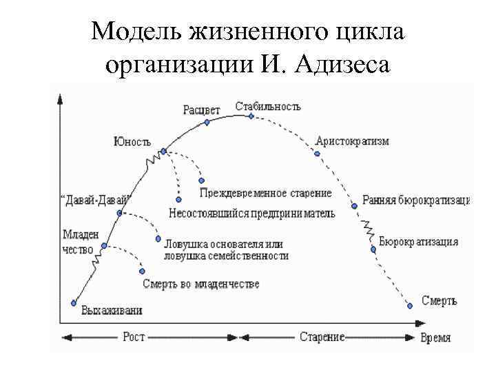 Модель жизненного цикла организации И. Адизеса 