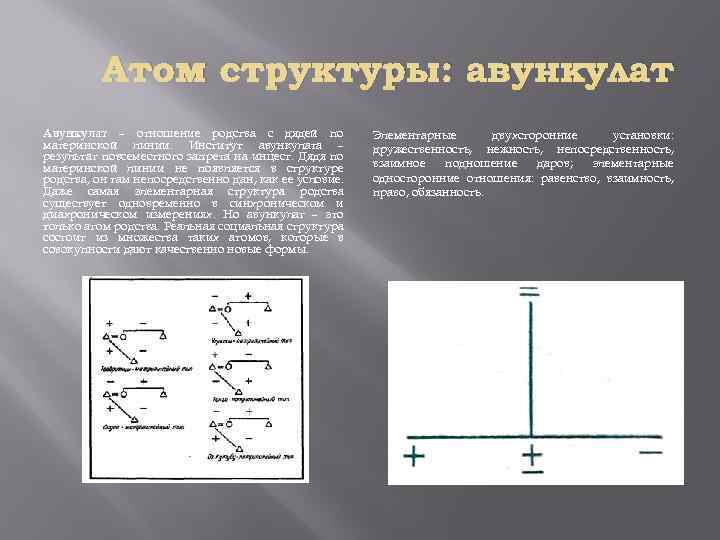 Атом структуры: авункулат Авункулат – отношение родства с дядей по материнской линии. Институт авункулата