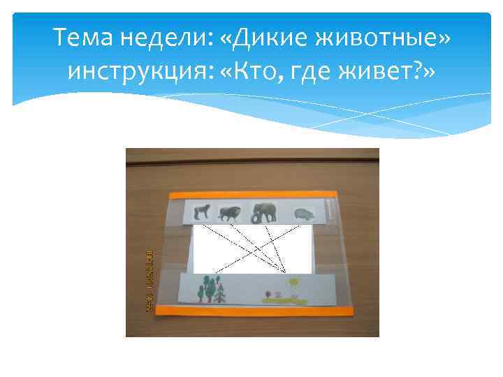 Тема недели: «Дикие животные» инструкция: «Кто, где живет? » 