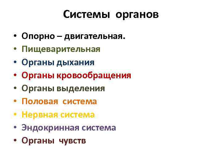 Системы органов • • • Опорно – двигательная. Пищеварительная Органы дыхания Органы кровообращения Органы