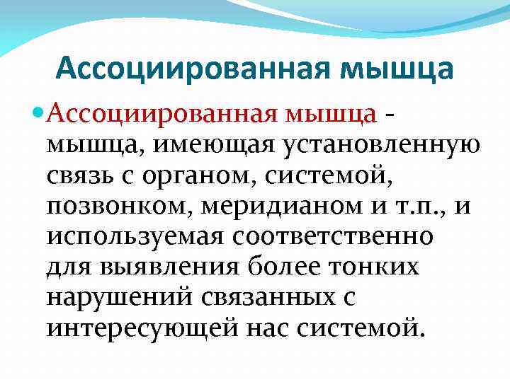 Ассоциированная мышца, имеющая установленную связь с органом, системой, позвонком, меридианом и т. п. ,