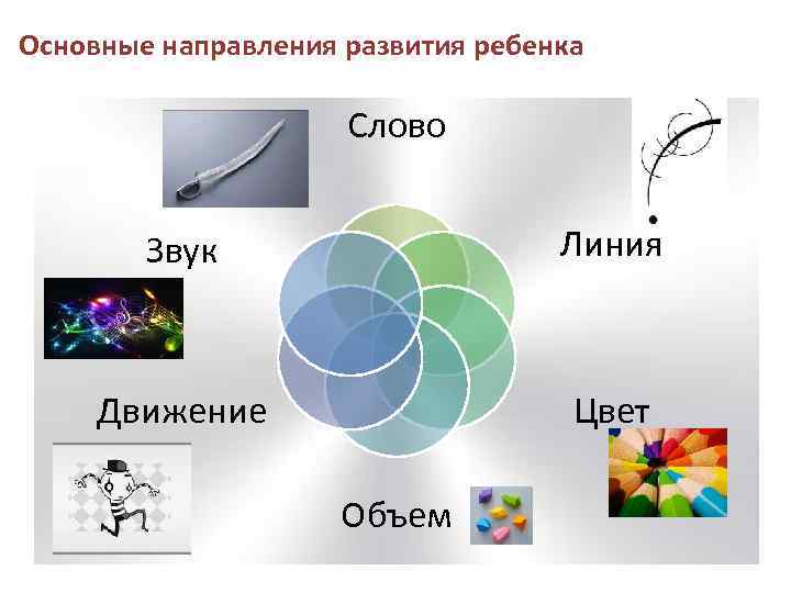 Основные направления развития ребенка Слово Звук Линия Движение Цвет Объем 