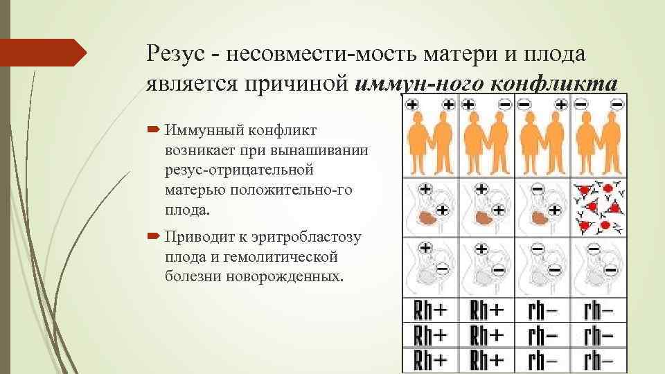 Резус несовмести мость матери и плода является причиной иммун ного конфликта Иммунный конфликт возникает