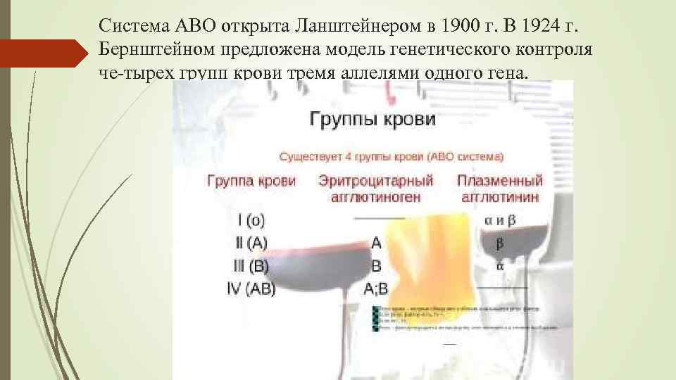 Система АВО открыта Ланштейнером в 1900 г. В 1924 г. Бернштейном предложена модель генетического