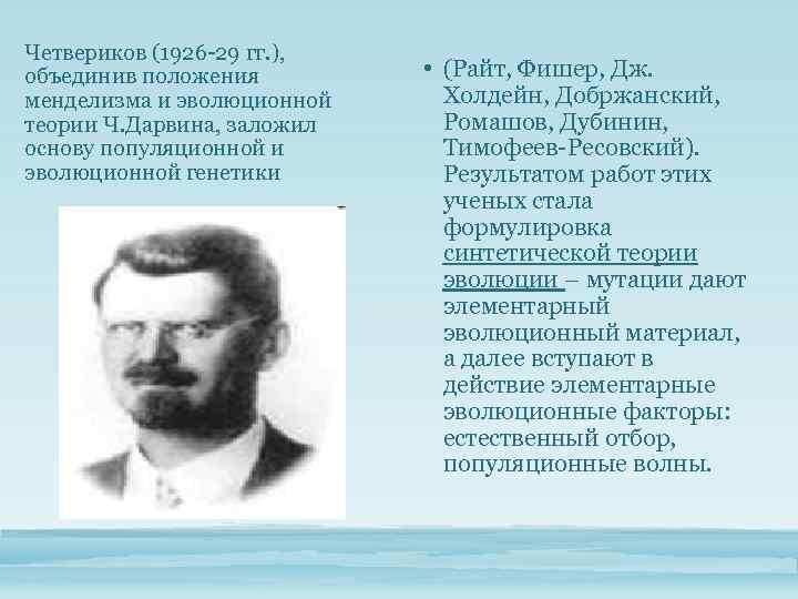 Четвериков (1926 -29 гг. ), объединив положения менделизма и эволюционной теории Ч. Дарвина, заложил