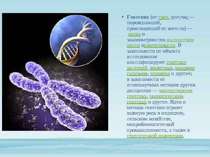  • Генетика (от греч. γενητως — порождающий, происходящий от кого-то) — наука о