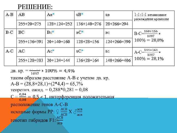 РЕШЕНИЕ: А-В АВ Ав* а. В* ав 1: 1: 1: 1 независимое расхождение хромосом
